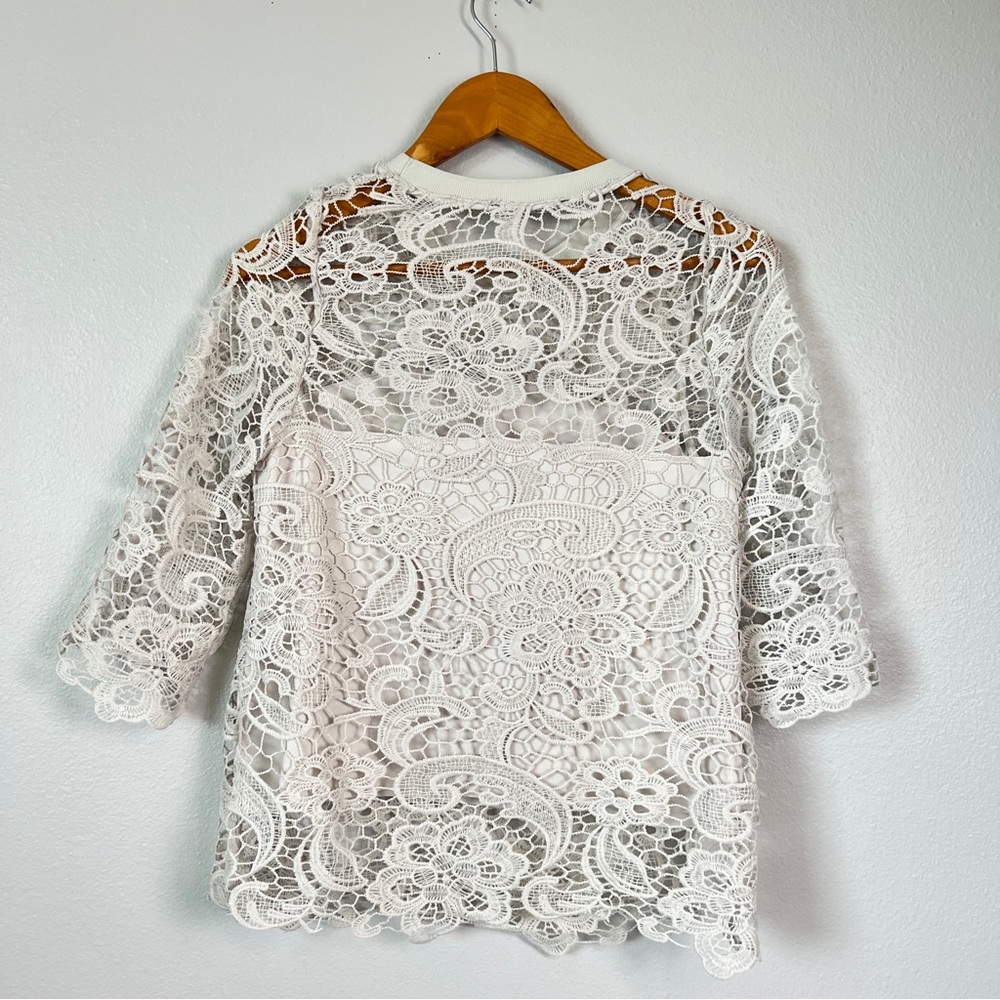 Zara Light Gray Lace Crochet with Inlay 3/4 Sleeve Top - Picture 4 of 6